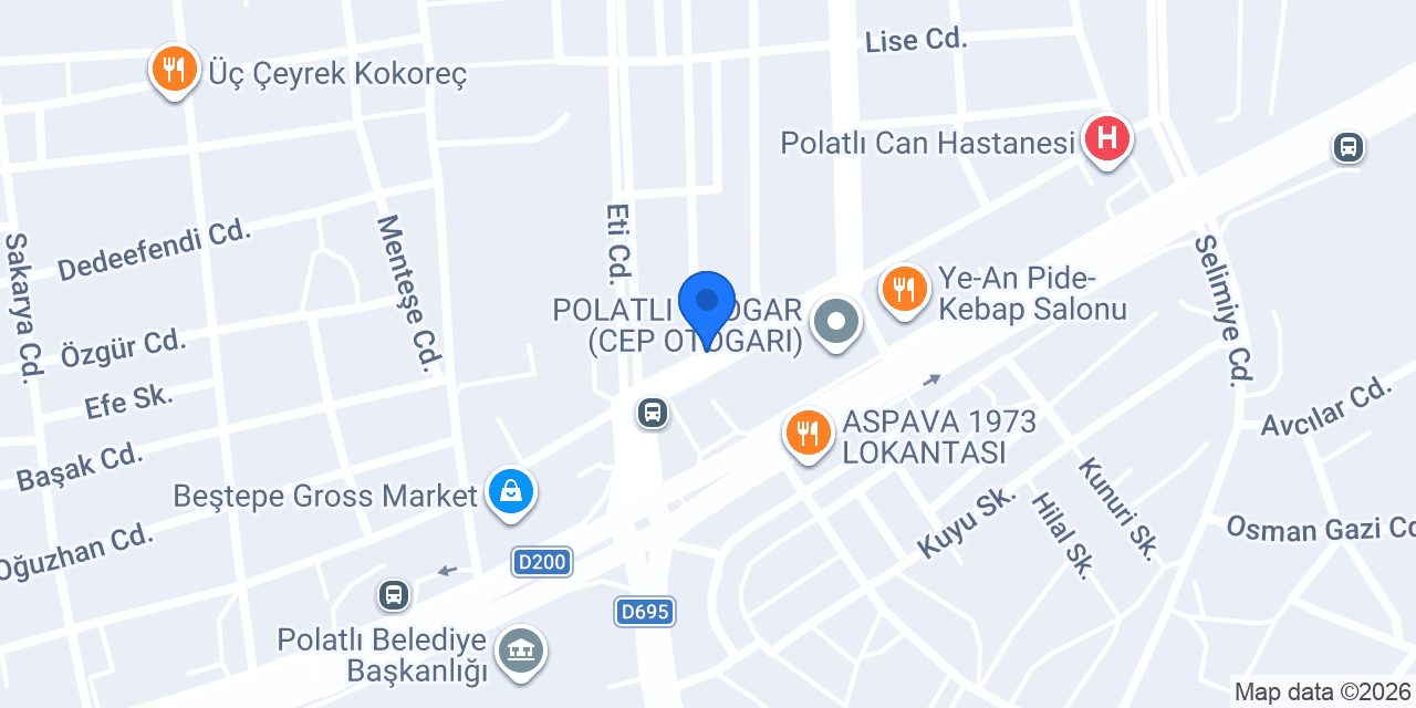 Eşref Yücel Otomotiv Tır Kamyon Pazarı konumu