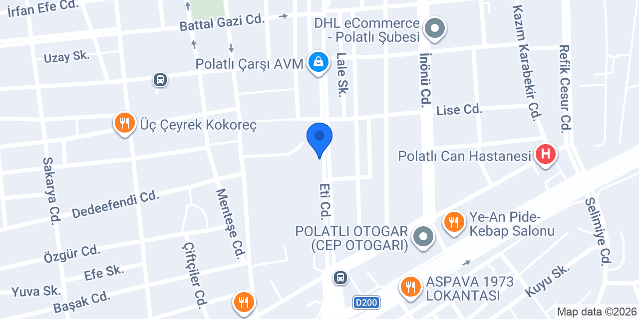 TESLA ELEKTRİK konumu