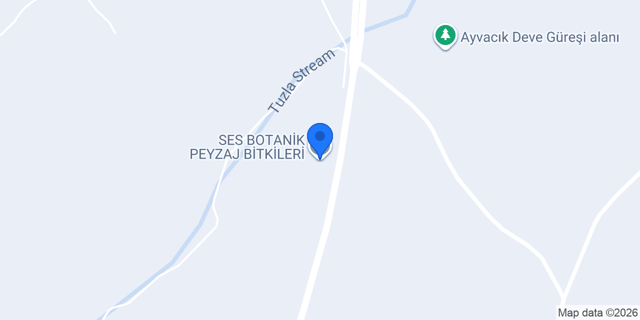 SES BOTANİK PEYZAJ BİTKİLERİ konumu