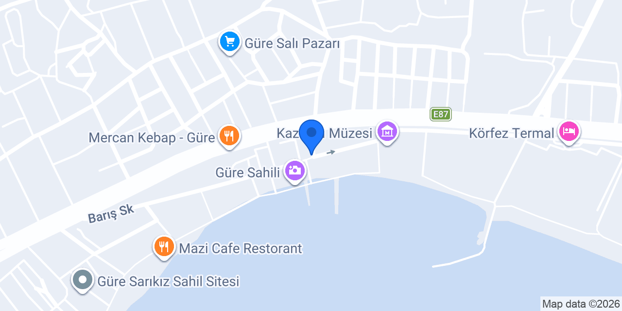 Orkide Kasap konumu