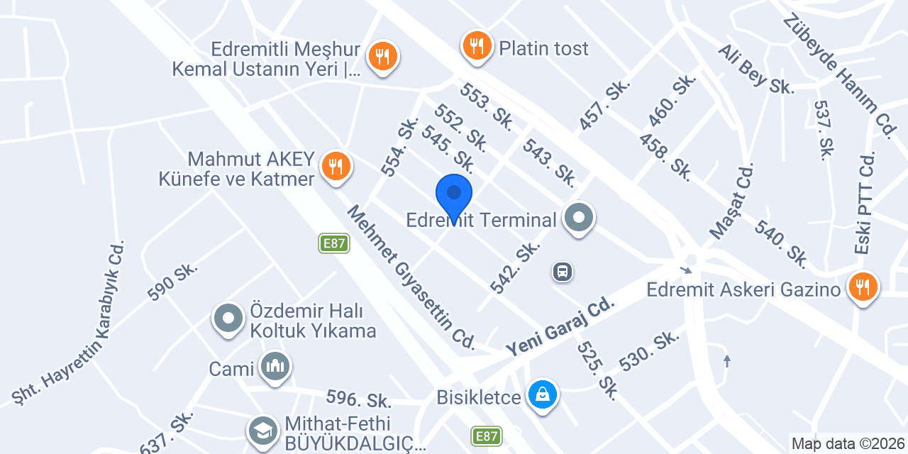 Ege oto radyatör konumu