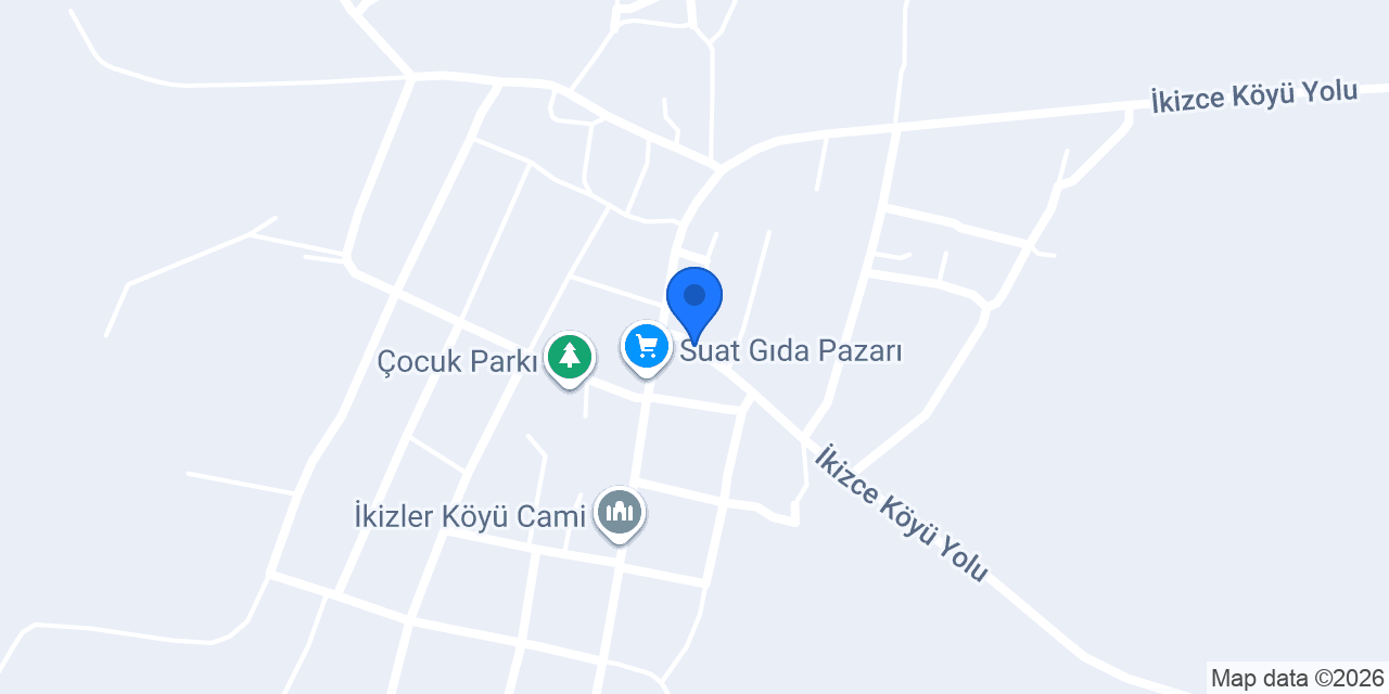 aslan oto lastik konumu