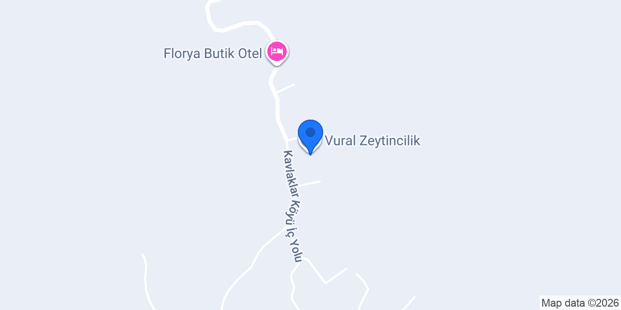 Vural Zeytincilik konumu