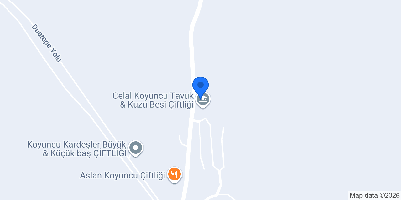 World ATM konumu