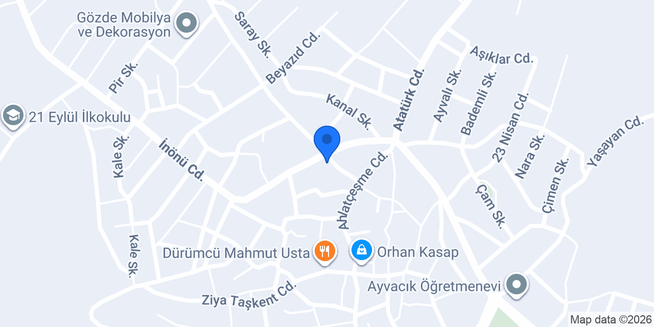 Şen ELEKTRİK konumu