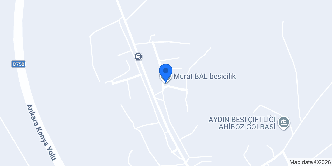 Murat BAL besicilik konumu