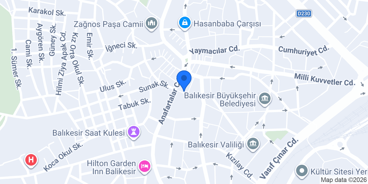 Altıeylül Turizm konumu