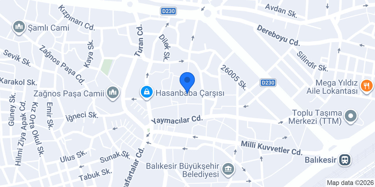 SMMM Muhsine Arslan konumu