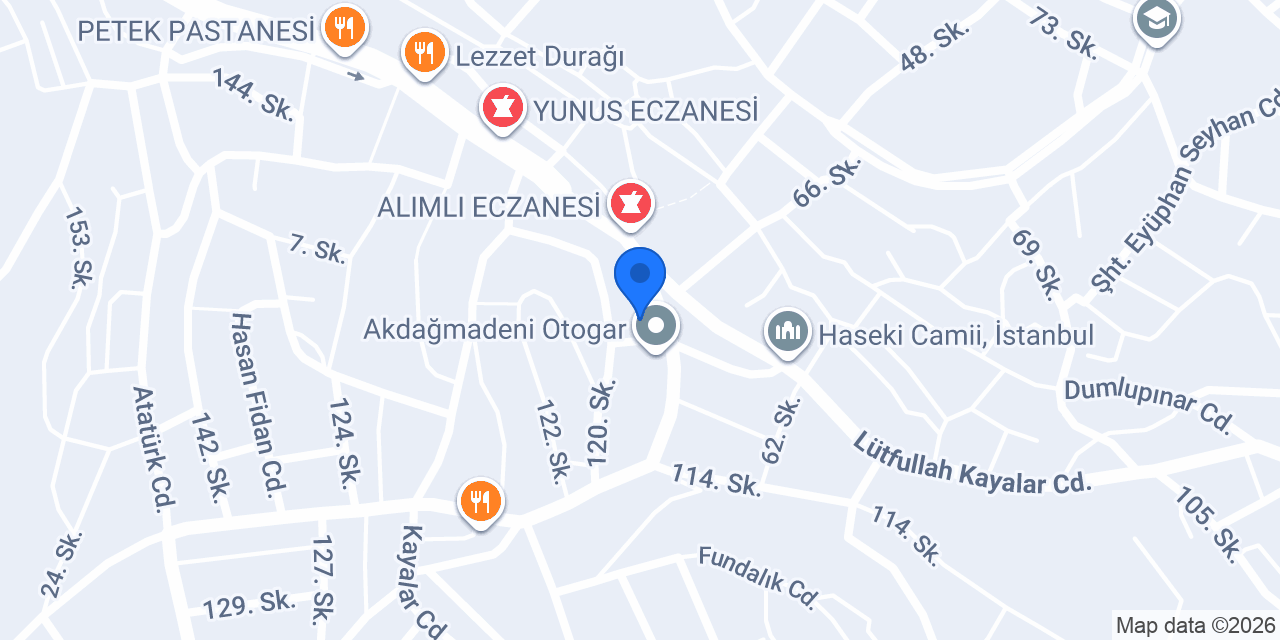 Aslan Eczanesi konumu