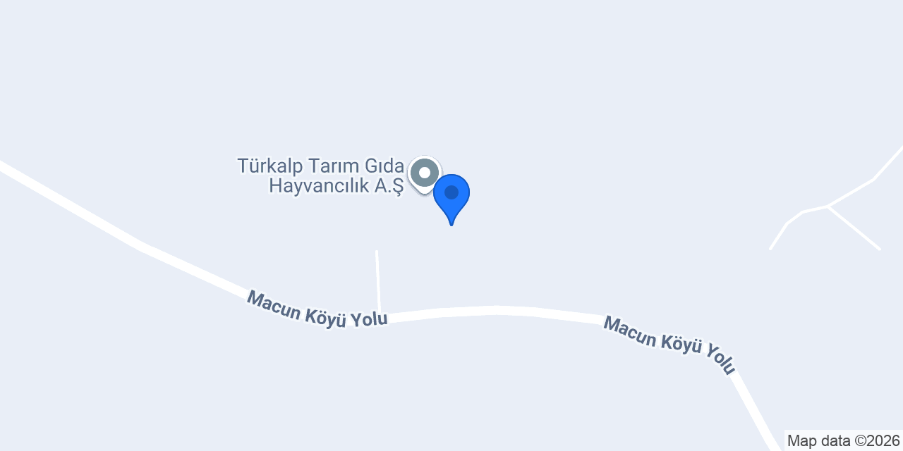 Kazcınız konumu