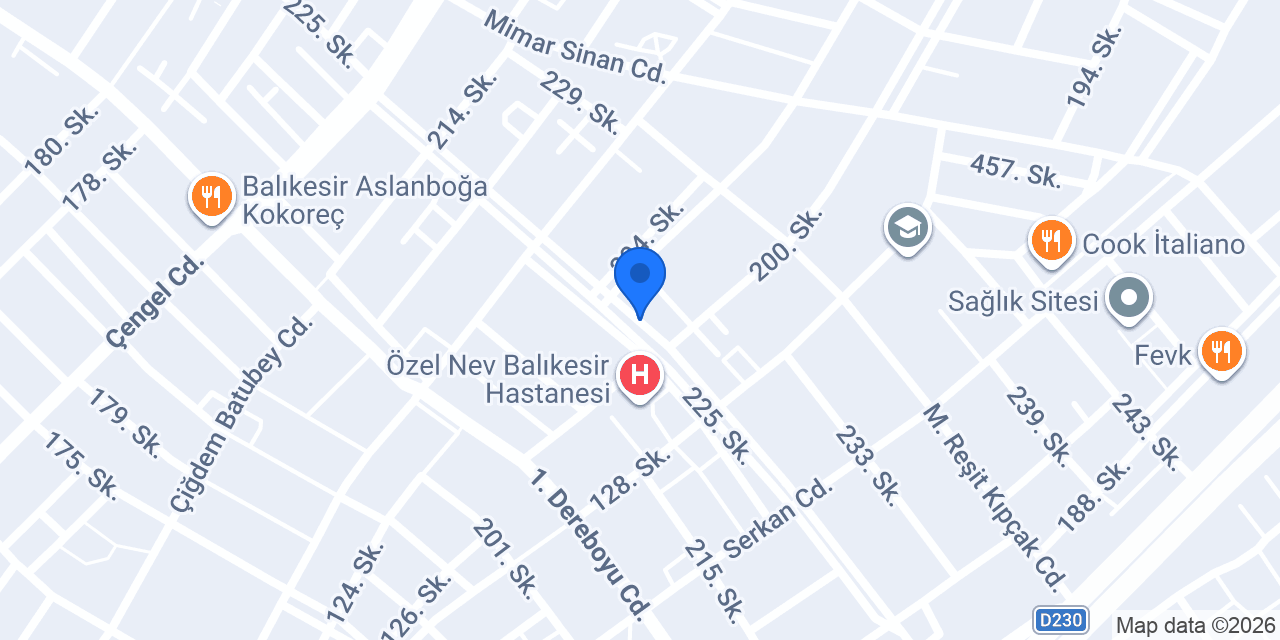 Nido Dondurma Balıkesir konumu