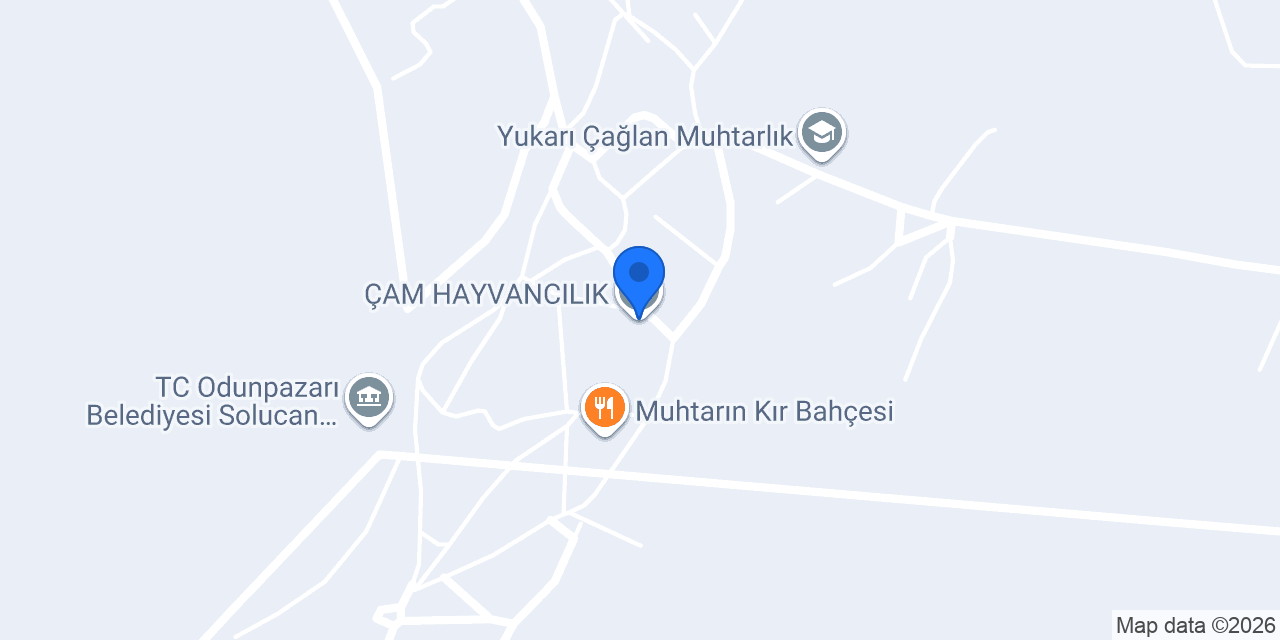 ÇAM HAYVANCILIK konumu