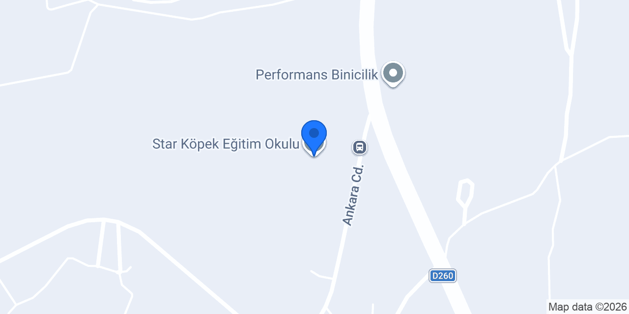 Star Köpek Eğitim Okulu konumu