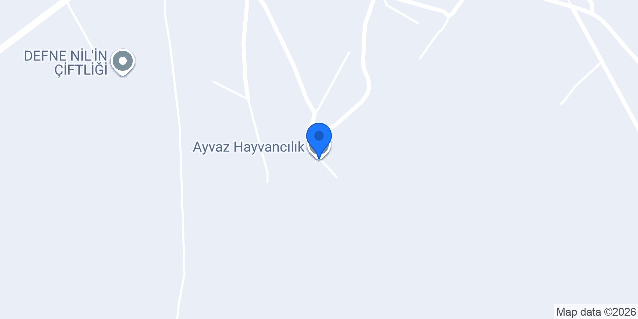 Ayvaz Hayvancılık konumu