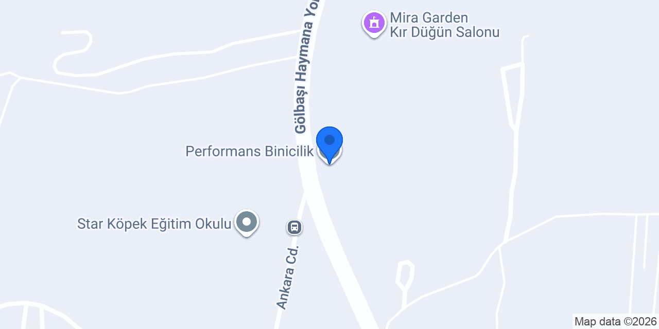 Performans Binicilik konumu