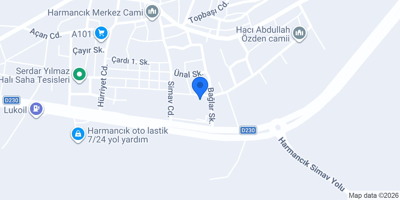 HARMANCIK MÜDÜR oto Lastik konumu