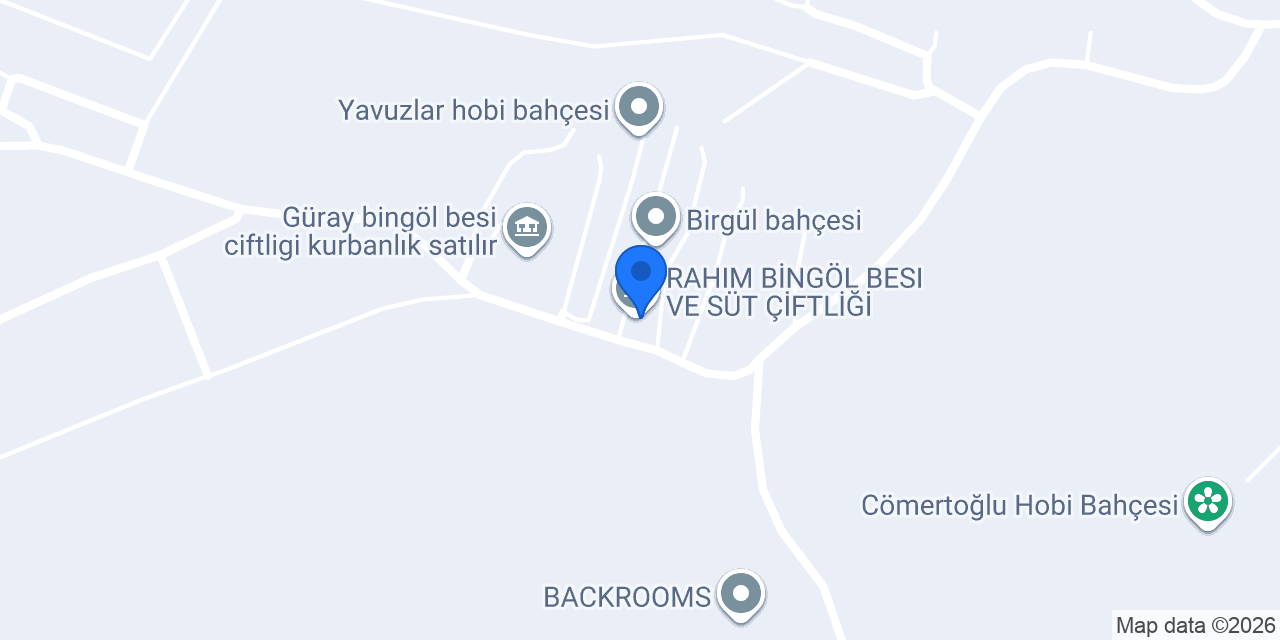 RAHIM BİNGÖL BESI VE SÜT ÇİFTLİĞİ konumu
