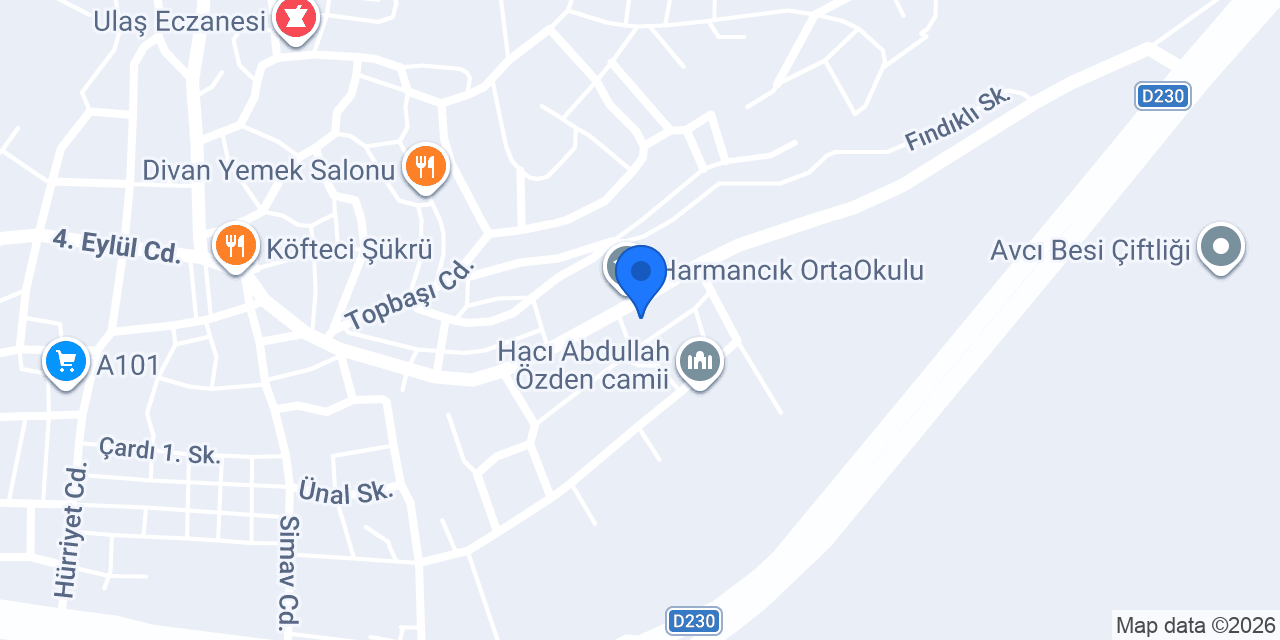 Koçdemir Halı Yıkama konumu