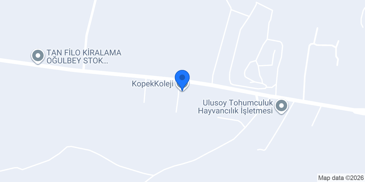 KopekKoleji konumu