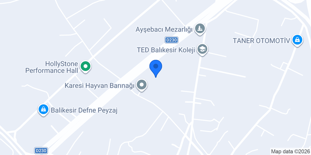 Düşünür Koleji Paşaalanı konumu