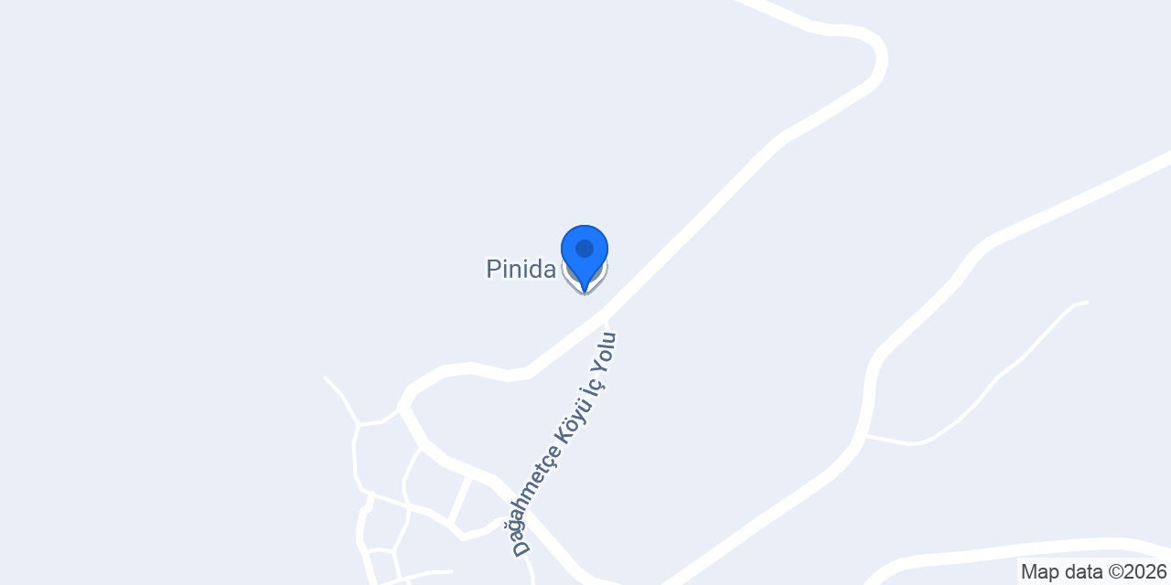 Pinida konumu