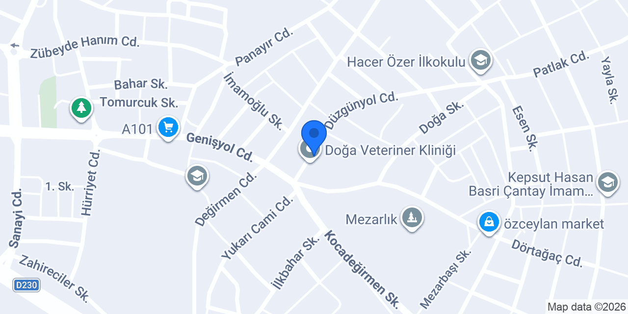 Vefa Veteriner Klinği konumu