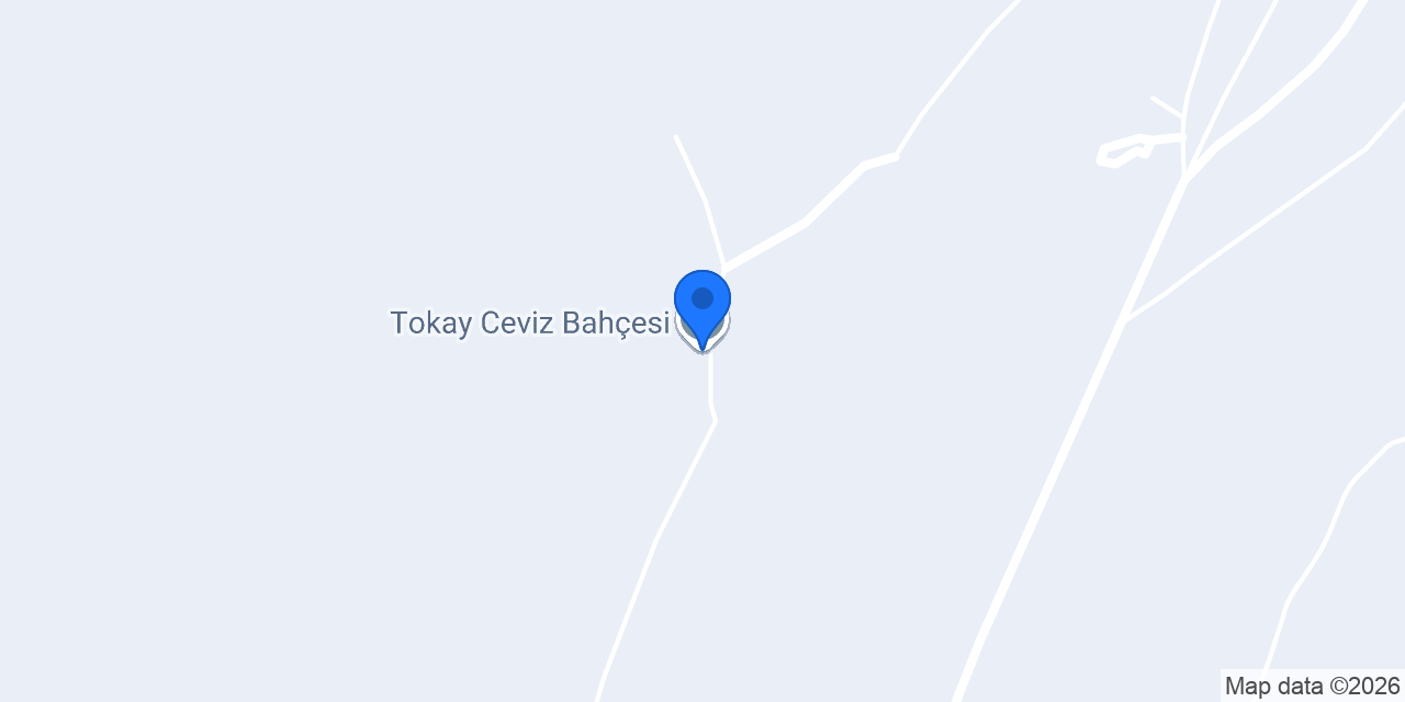 Tokay Ceviz Bahçesi konumu