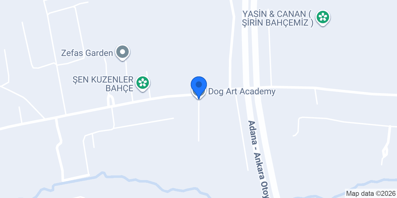 Dog Art Academy konumu