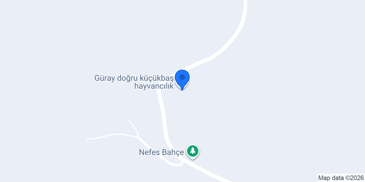 Güray doğru küçükbaş hayvancılık konumu