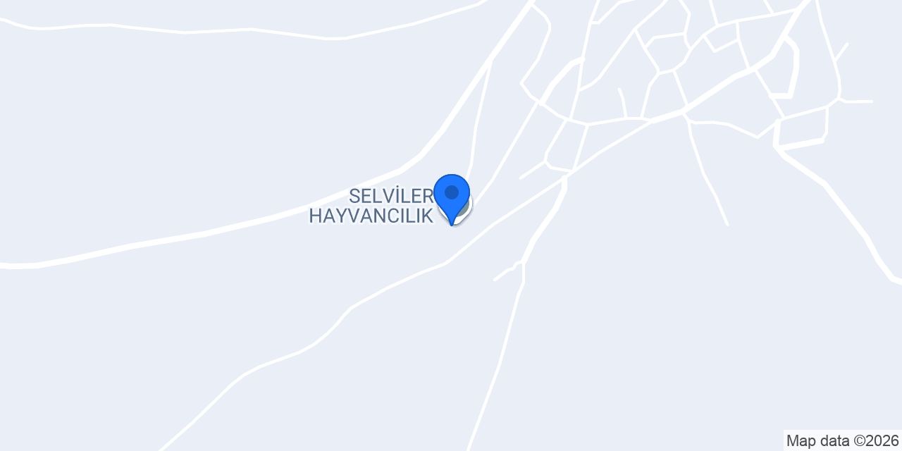 SELVİLER HAYVANCILIK konumu