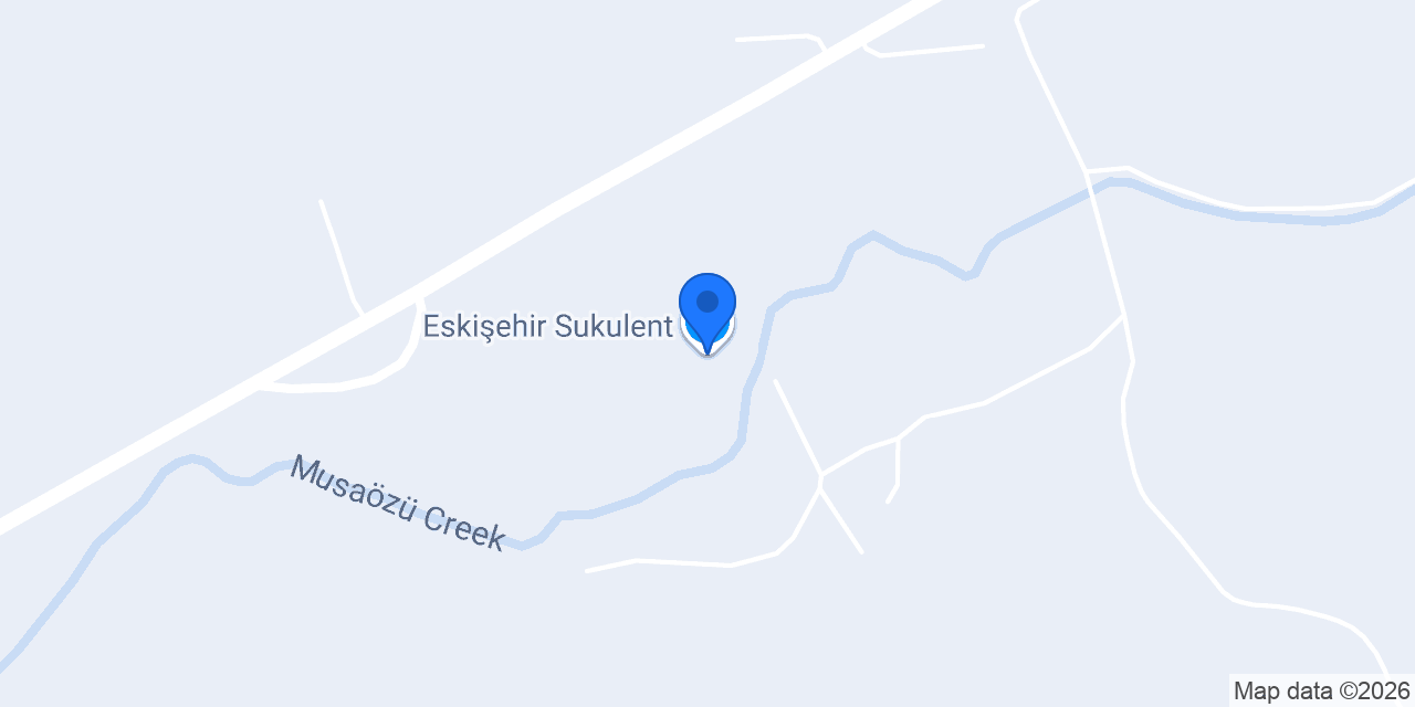 Eskişehir Sukulent konumu
