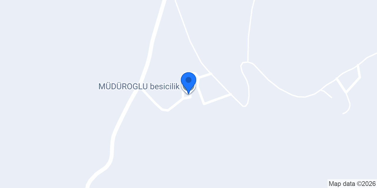 MÜDÜROGLU besicilik konumu