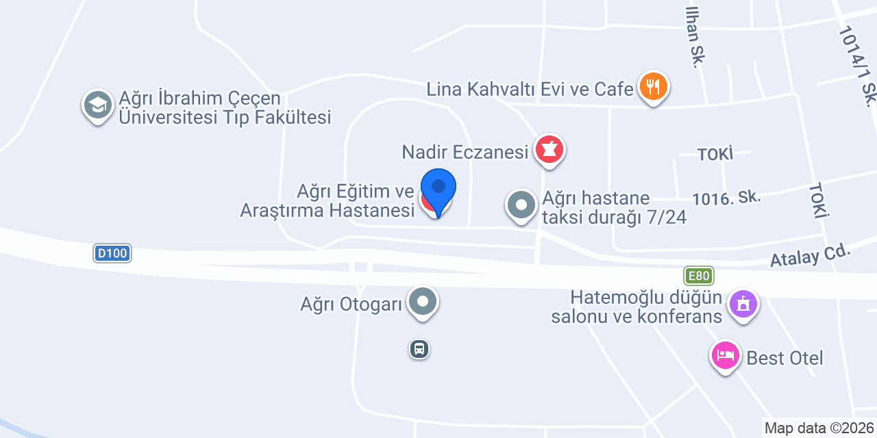 Ağrı Ergoterapi konumu
