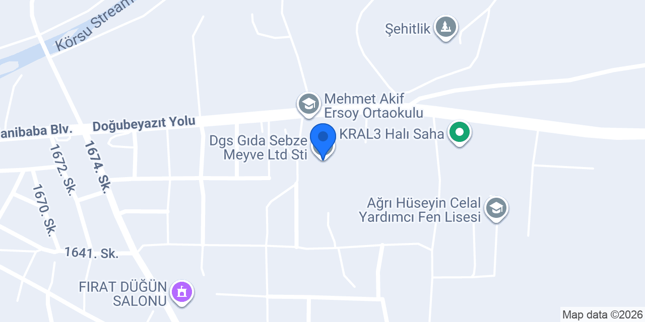 Dgs Gıda Sebze Meyve Ltd Sti konumu