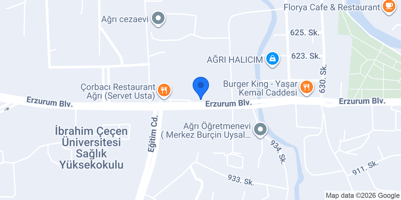 Domino's Pizza Ağrı konumu