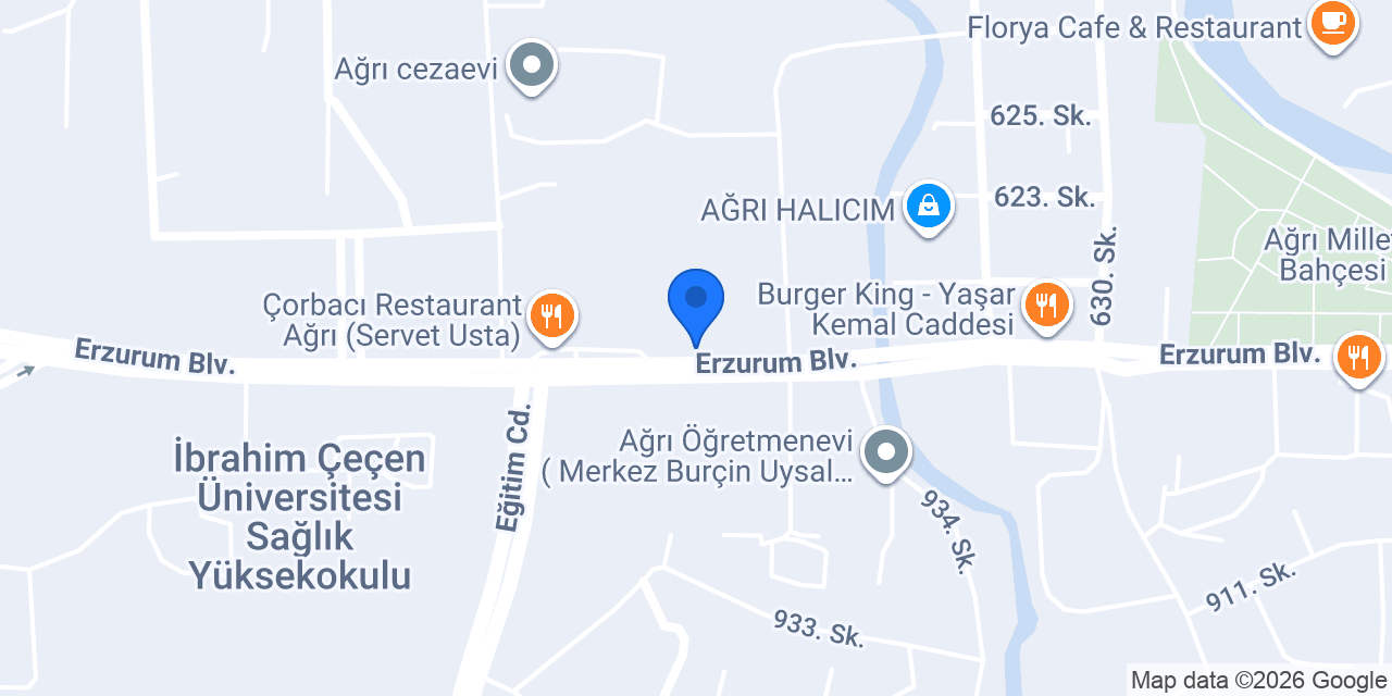 Endless Pizza Ağrı konumu