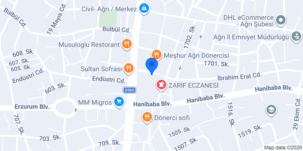 Lingua Tercüme konumu