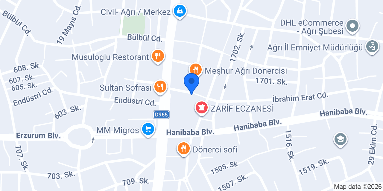 Özerler elektronik konumu