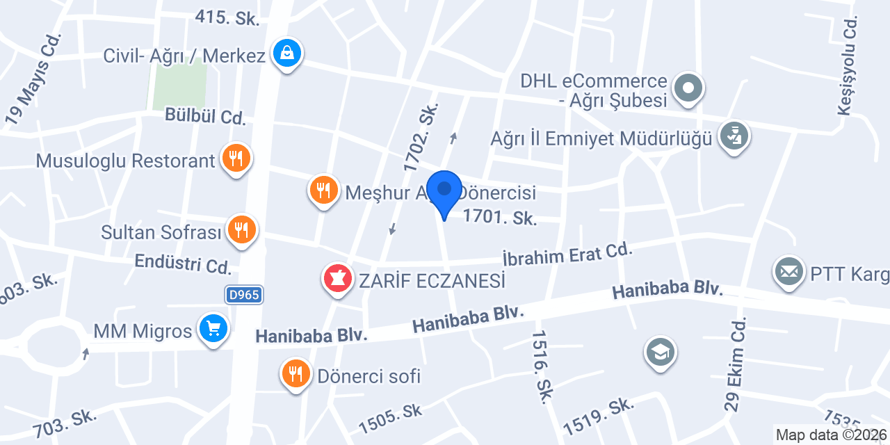 GLOBAL DANIŞMANLIK konumu