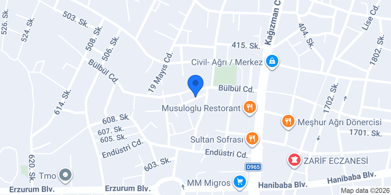 AĞRI ERZURUM SERVİS MİNİBÜS ULAŞIM konumu