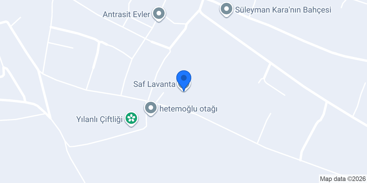 Saf Lavanta konumu