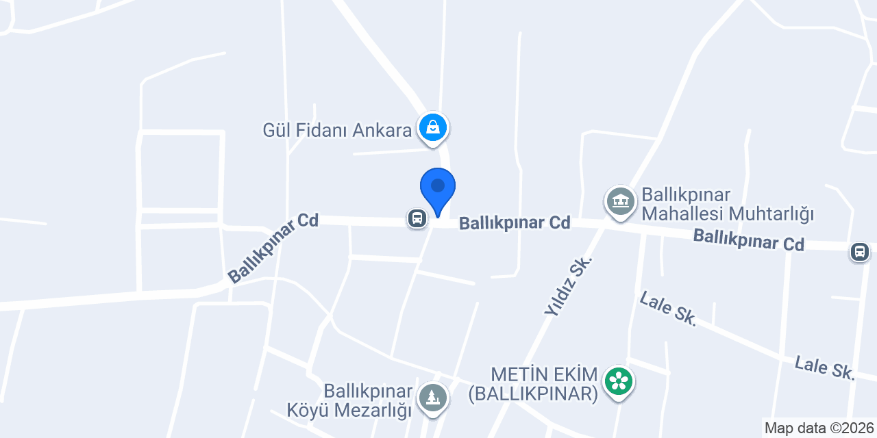 Ballıkpınar Emlak konumu