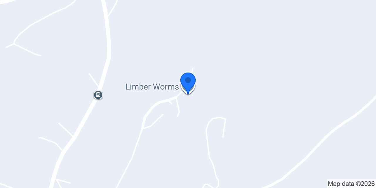 Limber Worms konumu