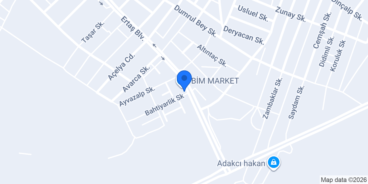 Es Arslan Gıda Baharat konumu