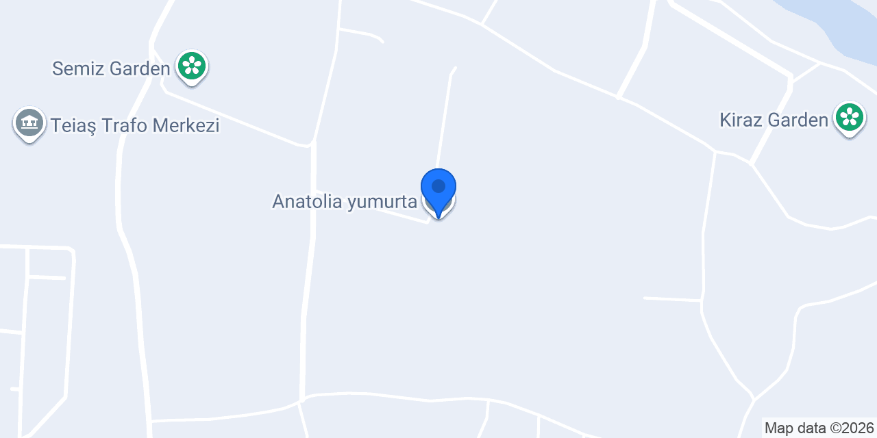 Anatolia yumurta konumu