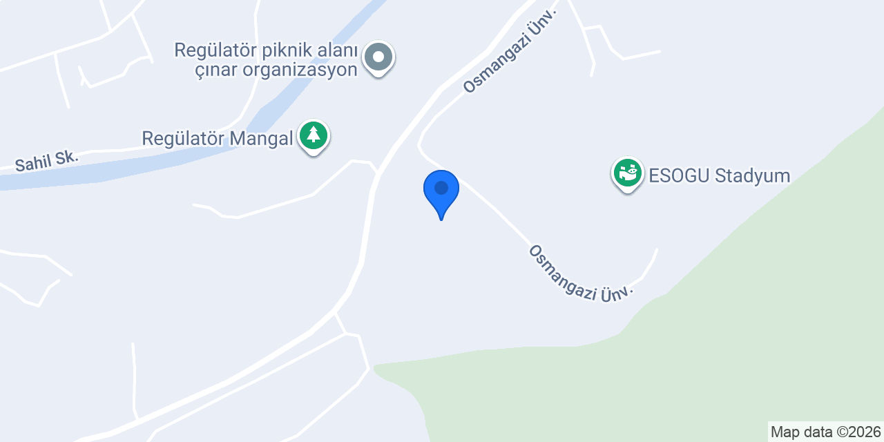 Hippoterapi Türkiye konumu