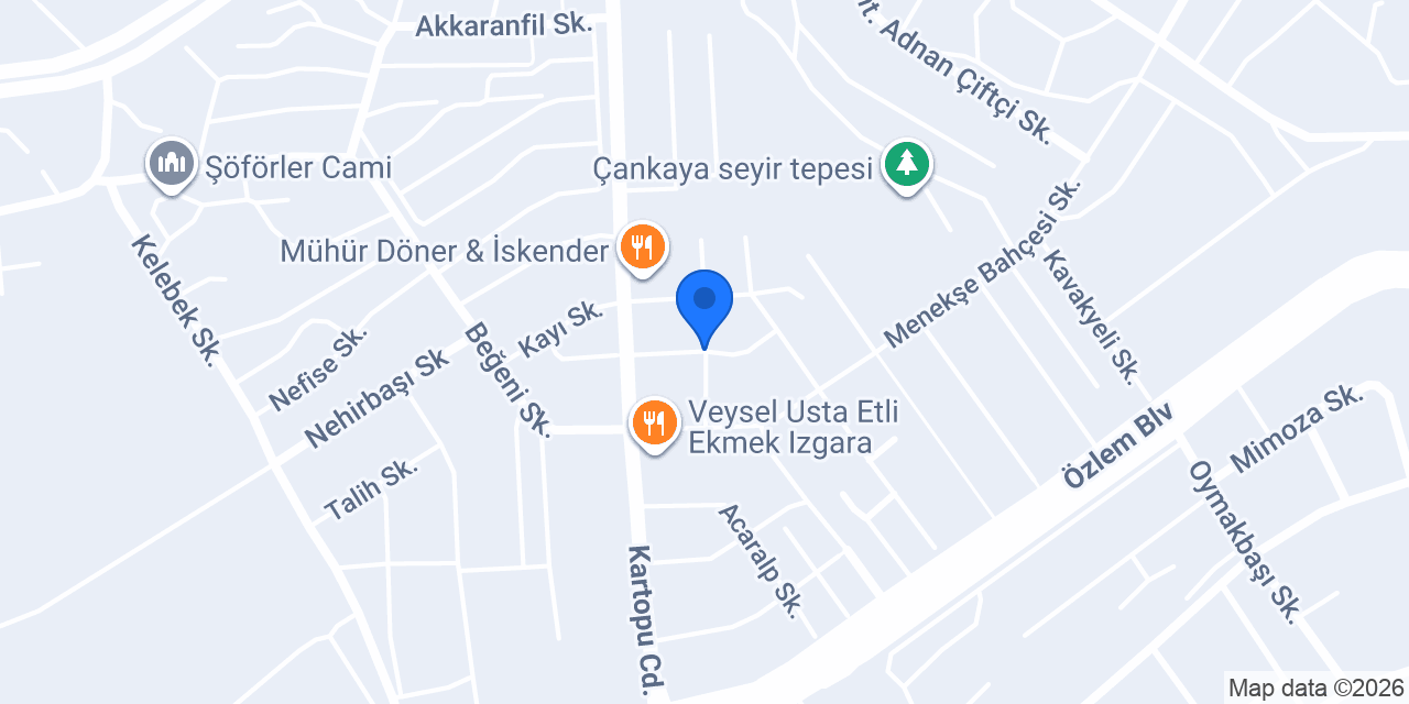 Global Consultancy Danışmanlık konumu