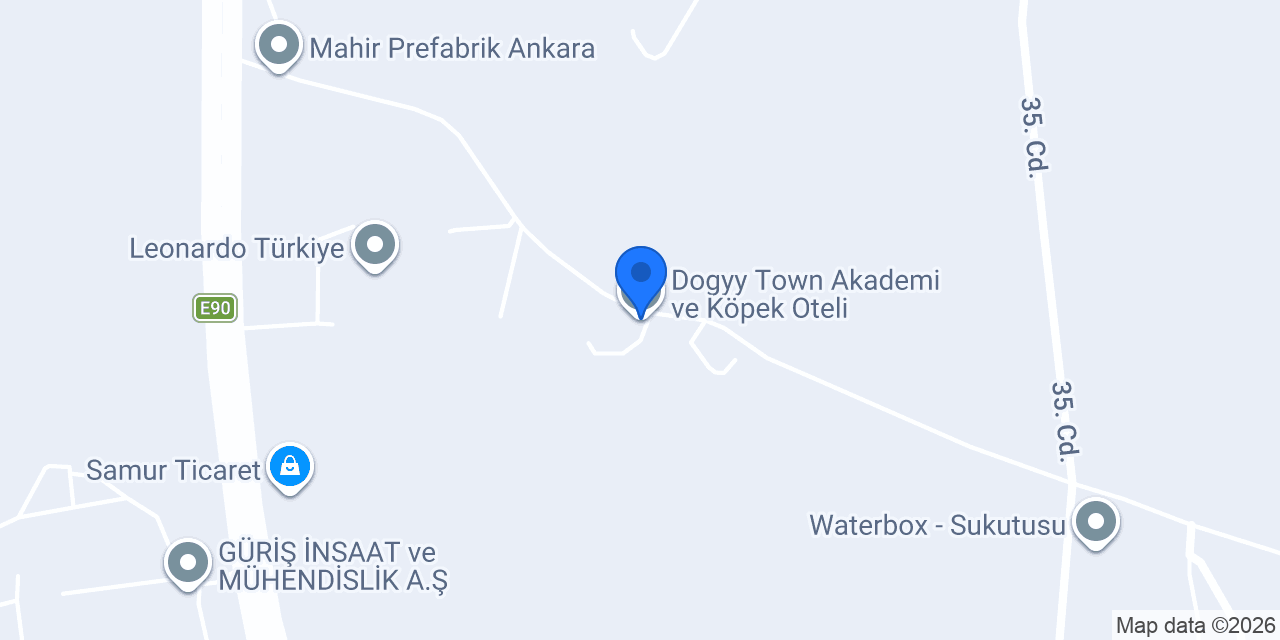 Dogyy Town Akademi ve Köpek Oteli konumu