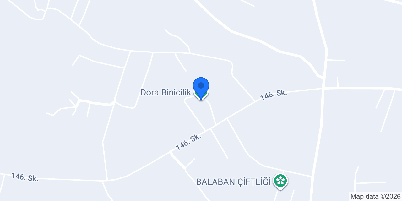 Dora Binicilik konumu