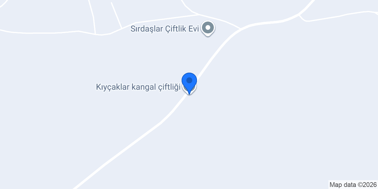 Kıyçaklar kangal çiftliği konumu